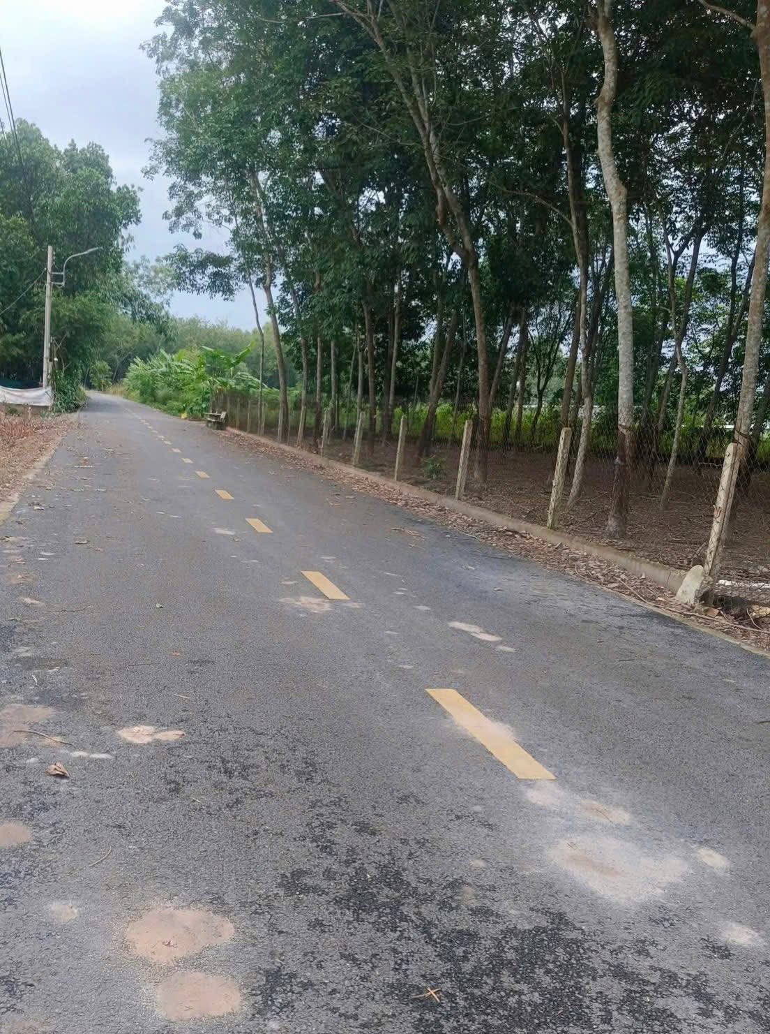 Đất Bàu Bàng mặt tiền đường nhựa, gần chợ, trường học, giá hấp dẫn