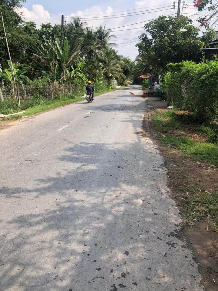 Dãy trọ 23 phòng, 12m x 55m, 100% thổ cư, hướng Phà Hàm Luông