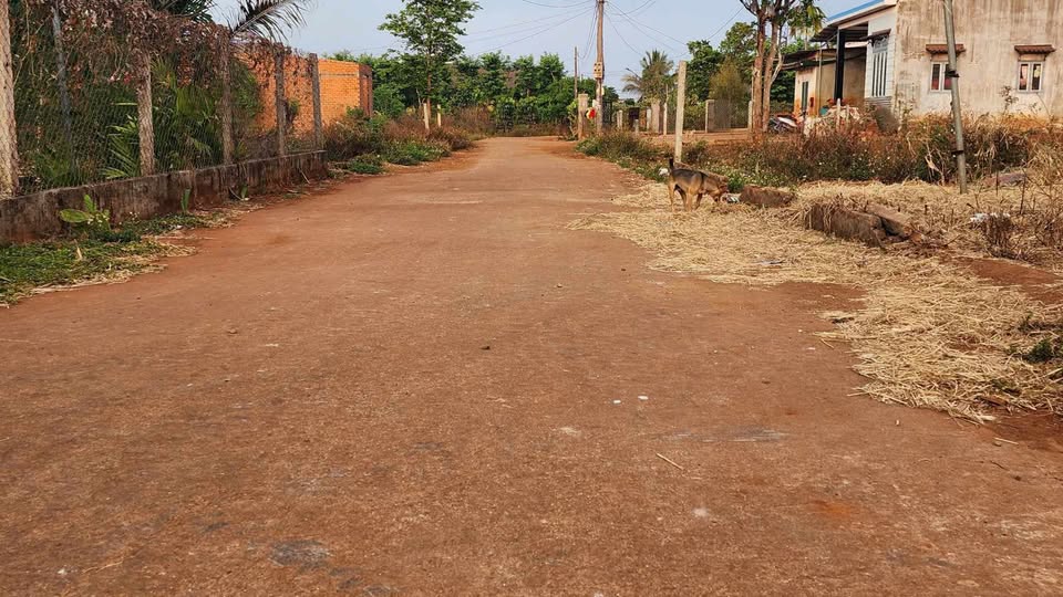 Đất vàng Buôn Rư 8,8m x 25m, sổ sẵn, giá hời như mơ