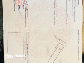 Bán đất 99m² mặt tiền 5m tại Đào Yêu, Hải An, lô đất tiềm năng sinh lời cao