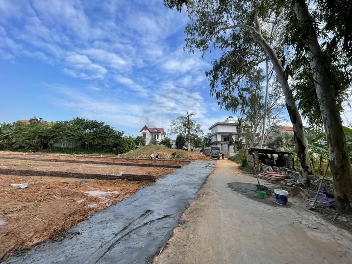 Bán đất thổ cư 126.9m² tại thôn Quang Trung, huyện Sông Lô, tỉnh Vĩnh Phúc