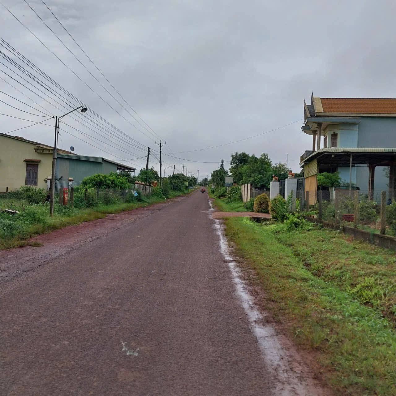 Mảnh đất rộng lớn với 1ha diện tích, sở hữu mặt tiền đường nhựa liên xã tại xã Ia Tôr, Chư Prông