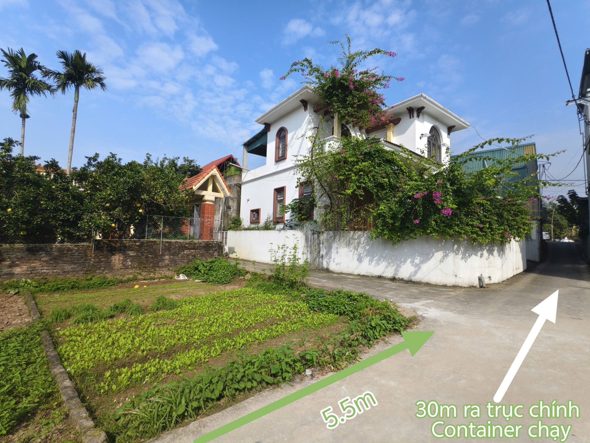 Cần tiền bán gấp lô góc tại Đội 6 Tự Nhiên, Phú Xuyên