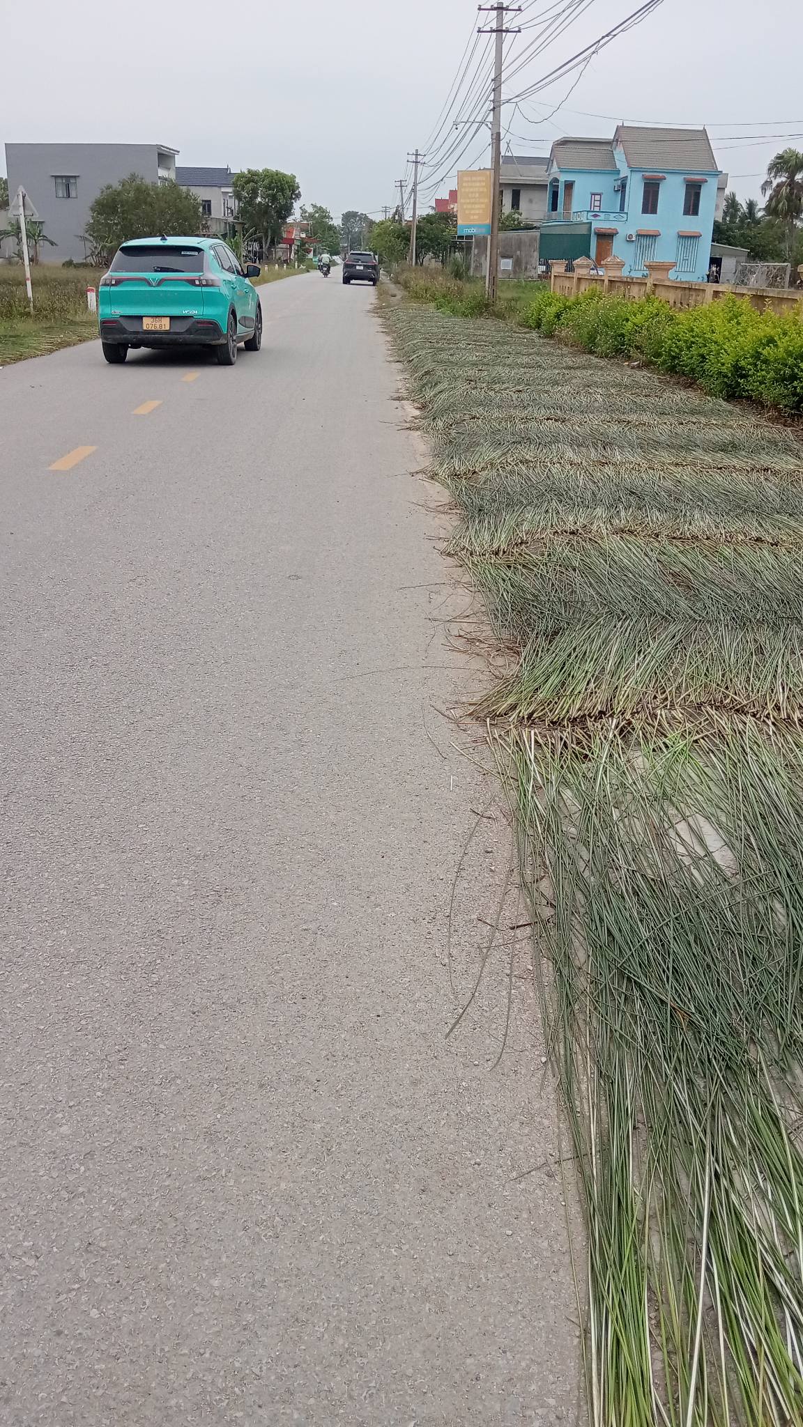 Cơ hội vàng sở hữu ngay lô đất vuông vắn tại thôn Ngọc Nhị, xã Quảng Phúc, huyện Quảng Xương