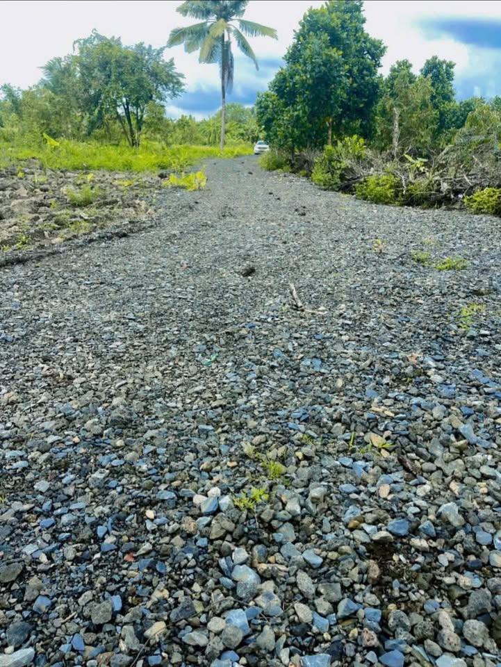 Bán đất 1000m2, mặt tiền 25m, sổ hồng riêng tại Tà Lài, Định Quán, Đồng Nai