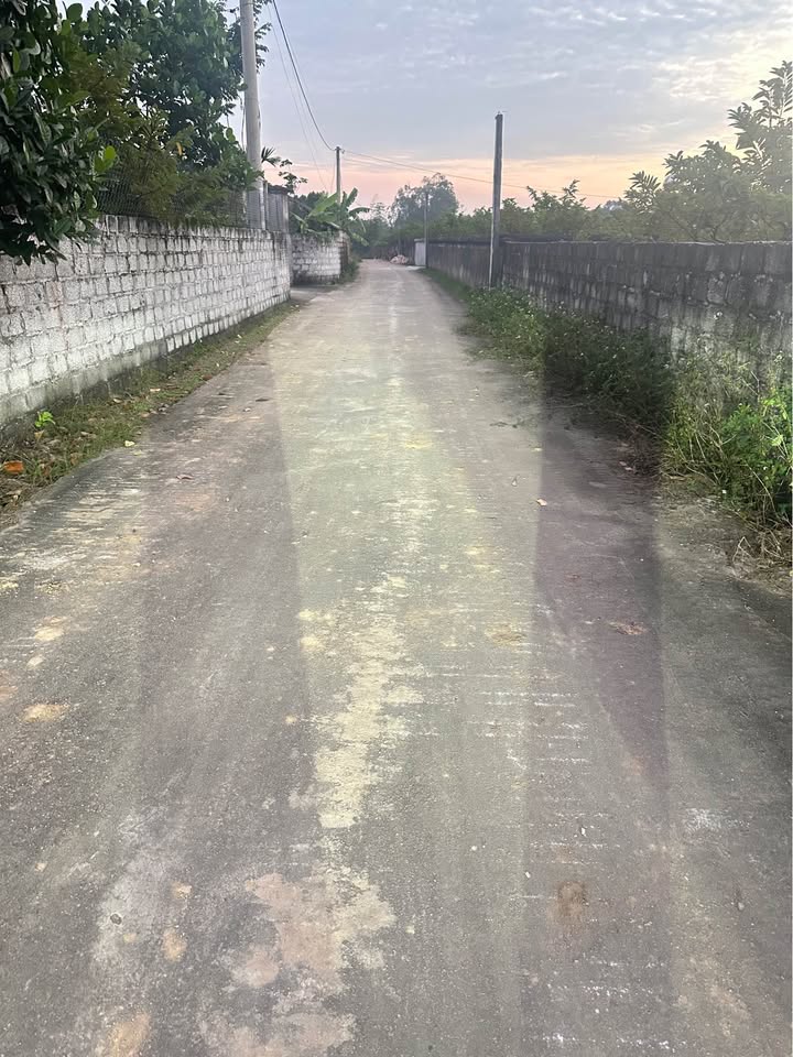 Bán đất Tam Đảo 108m2, mặt tiền 4.5m, đường ô tô tránh, view đẹp