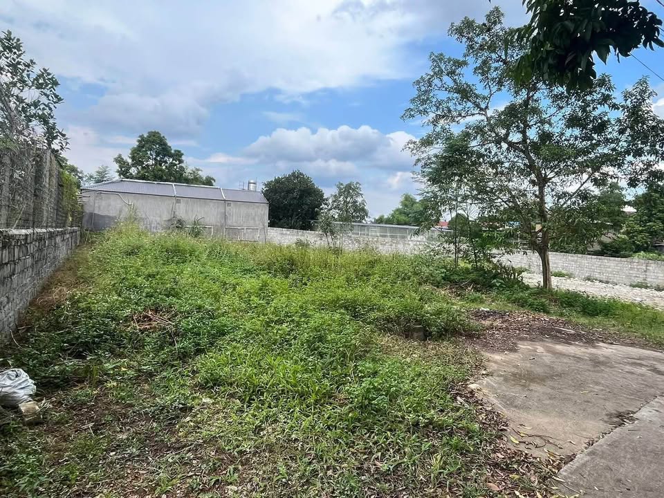 Bán đất 135m2 mặt tiền 5m, gần chợ Vó Ngựa, Thái Nguyên