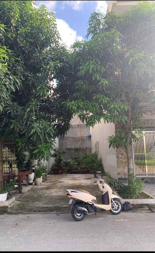 Đất Trần Đại Nghĩa, Nam Định, diện tích 81m², mặt tiền 4.5m, cơ hội đầu tư hấp dẫn