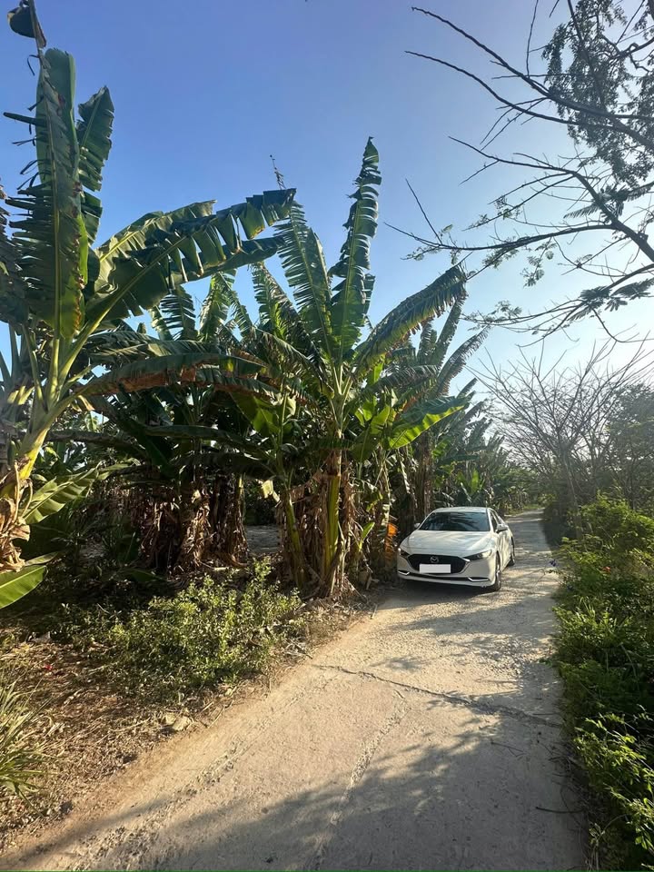 Hai nền đất liền kề, ô tô tới tận nơi, gần chợ Hoà Lợi