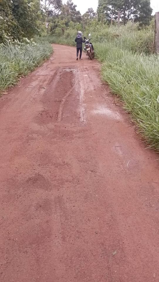 Bán đất rẫy 200m mặt đường bê tông, Đắk Nông - 3.5 tỷ