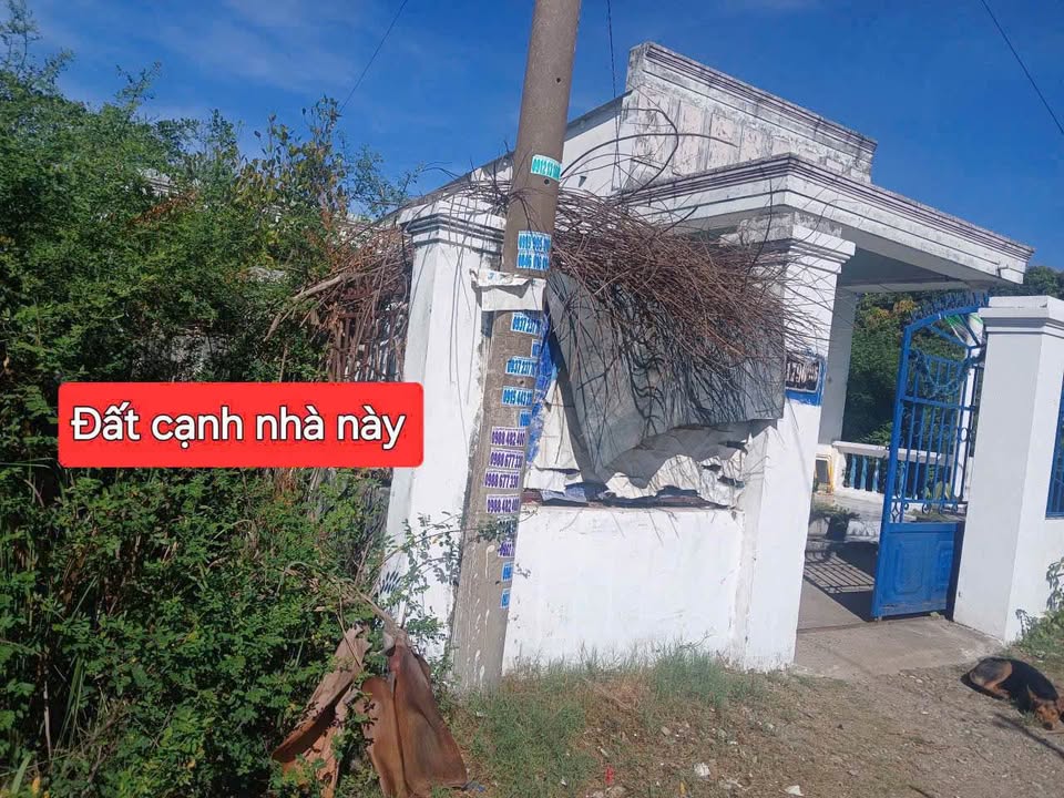 Bán đất Phường 12, Vũng Tàu 200m2 sổ riêng, giá tốt