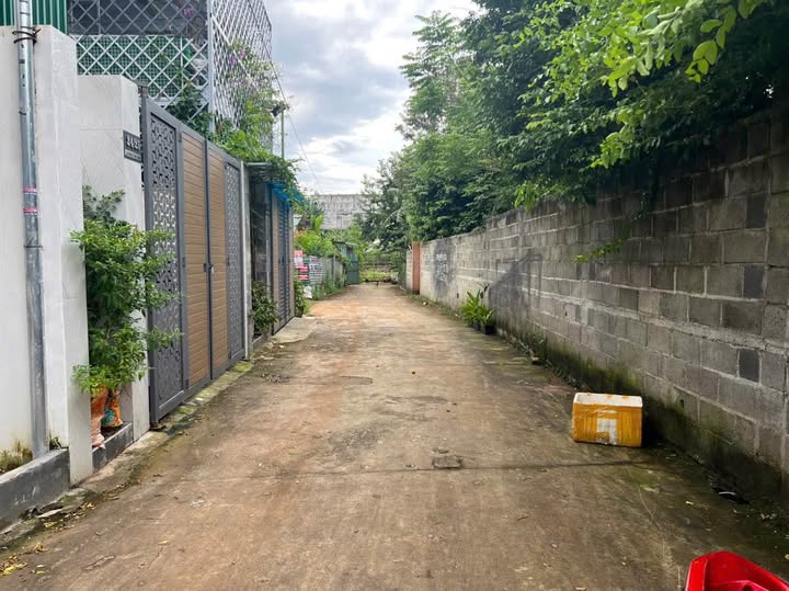 Bán 3 lô đất liền kề tại hẻm 24 Lương Thế Vinh, thành phố Buôn Ma Thuột