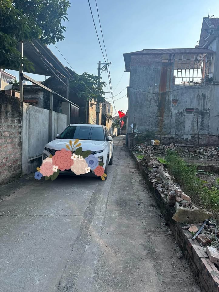 Chốt nhanh lô đất Cẩm Đình, Phúc Thọ 100m² giá siêu yêu, ô tô vào tận nơi