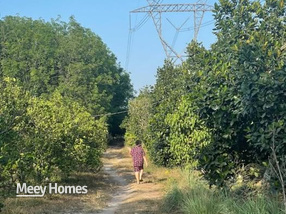 Bán đất vườn xịn sò ngay An Linh, Phú Giáo - 1200m2 giá hời