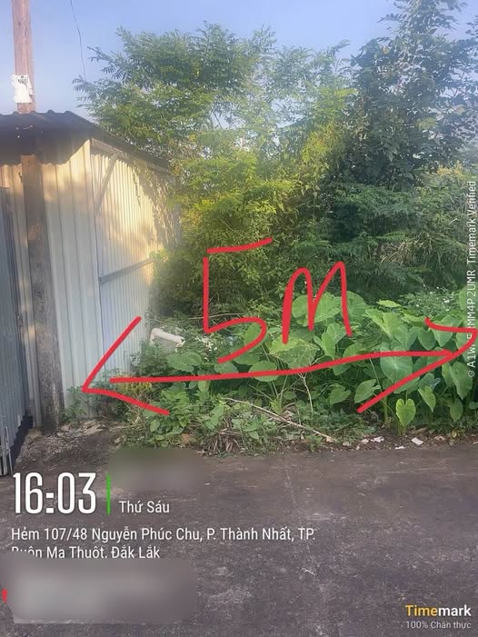 Cần bán nhanh lô đất thổ cư "siêu hời" tại phường Thành Nhất, thành phố Buôn Ma Thuột