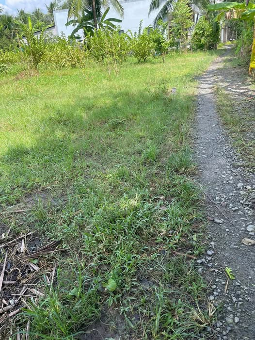 Bán gấp nền 308m2, ngang 10m tại Vĩnh Long