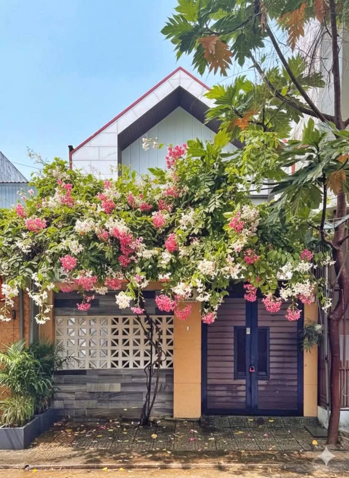 Nhà mặt tiền đường 5m5 tại Hải Châu, trung tâm thành phố Đà Nẵng