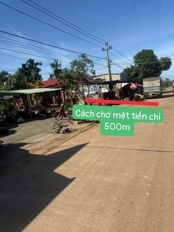 Bạn đang tìm kiếm một mảnh đất rộng rãi để thỏa sức sáng tạo