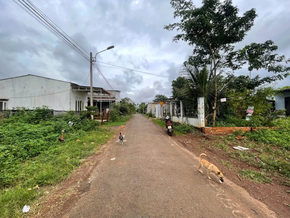 Tọa lạc tại khu vực KA2 sầm uất, mảnh đất sở hữu mặt tiền siêu đẹp