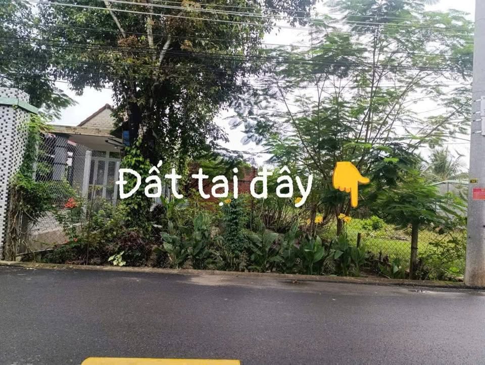 Đất mặt tiền nhựa Châu Thành, Tây Ninh diện tích 7,75mx66m, thổ cư 200m2, gần chợ Cao Xá