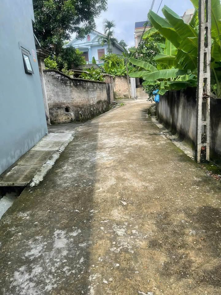 Bán đất 145.5m² Phượng Lâu, Việt Trì vị trí đắc địa, sổ đỏ sẵn sàng