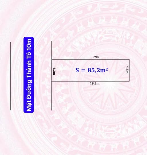 Tọa lạc tại vị trí đắc địa trên con phố Thành Tô sầm uất, thuộc phường Tràng Cát