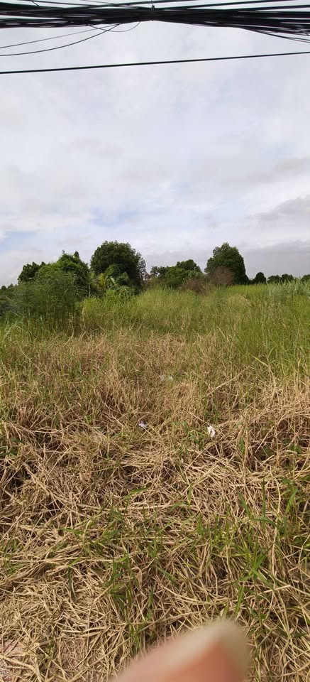 Bán đất mặt tiền đường Lò Rèn, phường 5, Thành phố Bạc Liêu