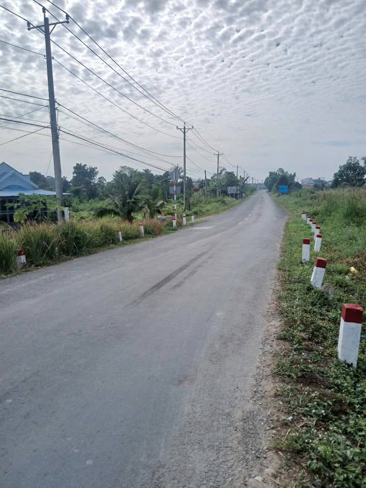 Cần bán lô đất vườn tại Xã Thạnh Lợi (Thạnh Hòa cũ), Thành phố Hồ Chí Minh