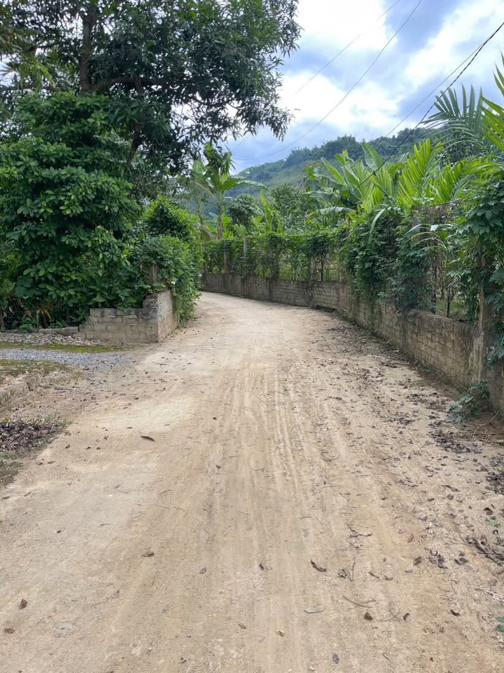 Mảnh đất mơ ước tại Km6 Bản Phiệt, Lào Cai, rộng rãi 1000m²