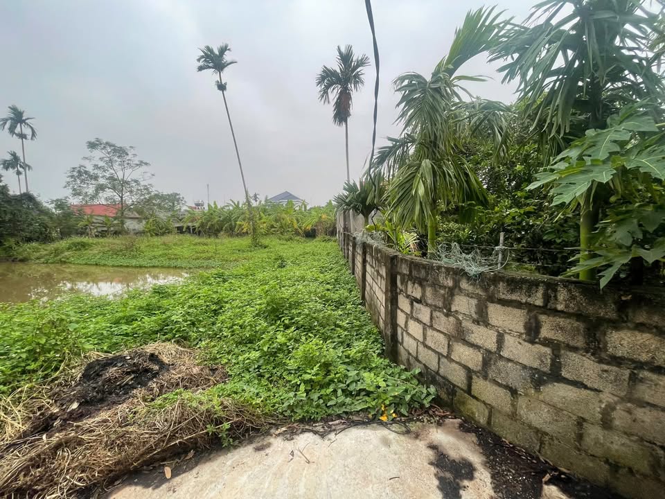 Siêu phẩm đất nền Nghĩa Thành, Nghĩa Hưng, Nam Định đã sẵn sàng chờ chủ nhân mới