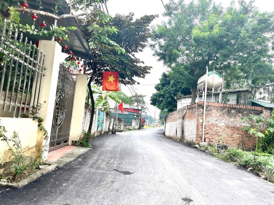 Bán đất thổ cư 91m2 tại xóm Giềng Đạo Tú, Tam Dương, Vĩnh Phúc, gần Quốc Lộ 2C và khu công nghiệp