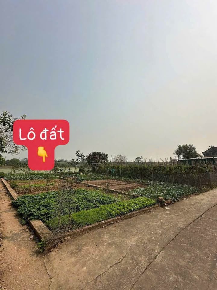 Bán lô góc 68m² Phú Mỹ, Ngọc Tảo, vượng khí giáp hồ, ô tô vào tận nơi