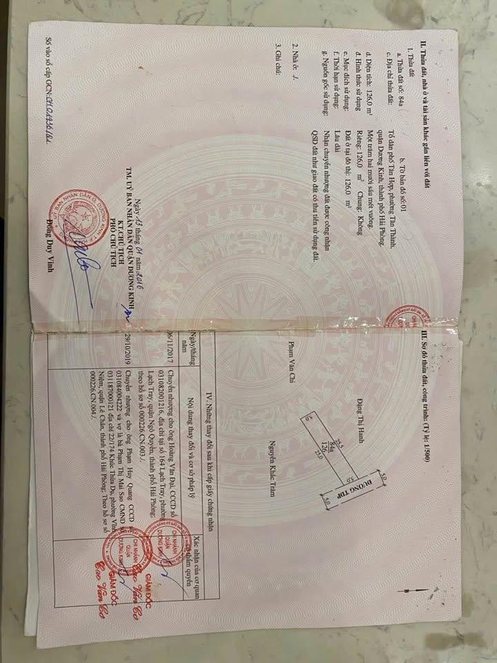 Đất Tân Thành, Hải Phòng 126m² vuông vắn, ngõ rộng 5m, tiềm năng tăng giá