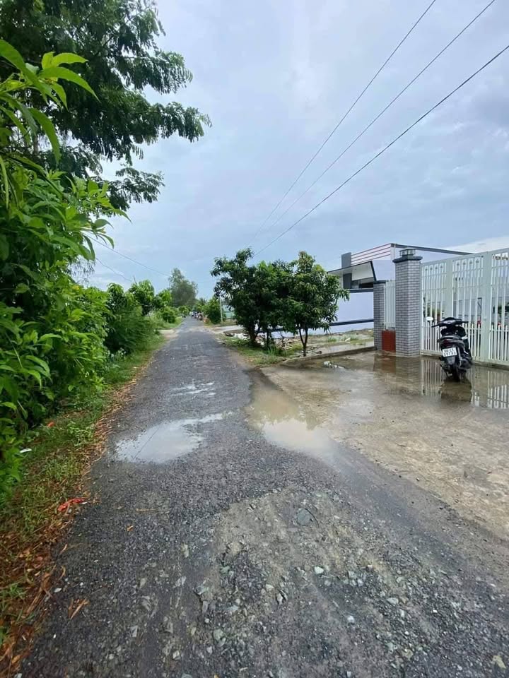 Nhà 20m mặt tiền, 1.320m² đất, Đồng Tháp, vườn trái cây, nhà mới, giá hời