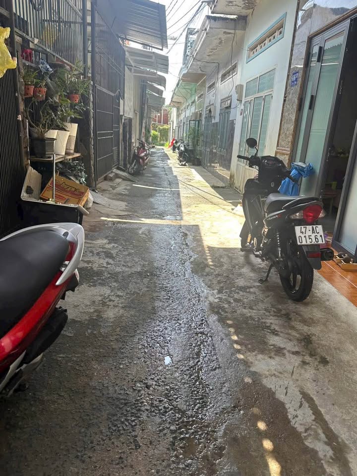 Bước chân vào con hẻm nhỏ yên tĩnh trên đường Trần Phú, bạn sẽ tìm thấy một tổ ấm nhỏ xinh đang chờ đón