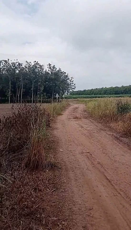 Đất vàng Tân Châu 47,000m2 view triệu đô, ô tô tận nơi