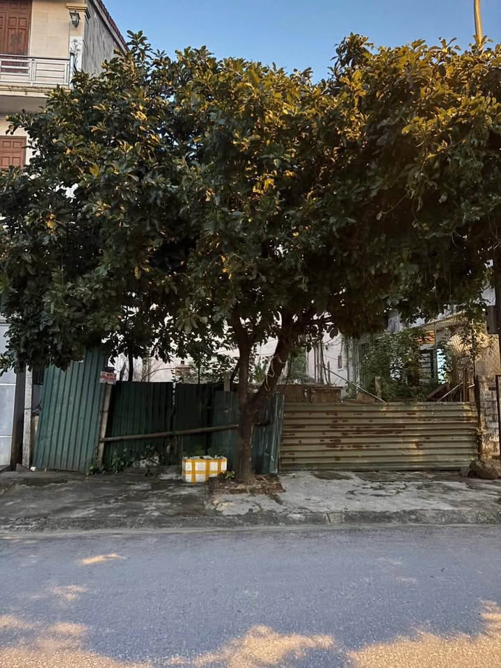 Đất vàng Yên Vinh nhà tặng kèm, ngõ rộng ô tô, giá hời