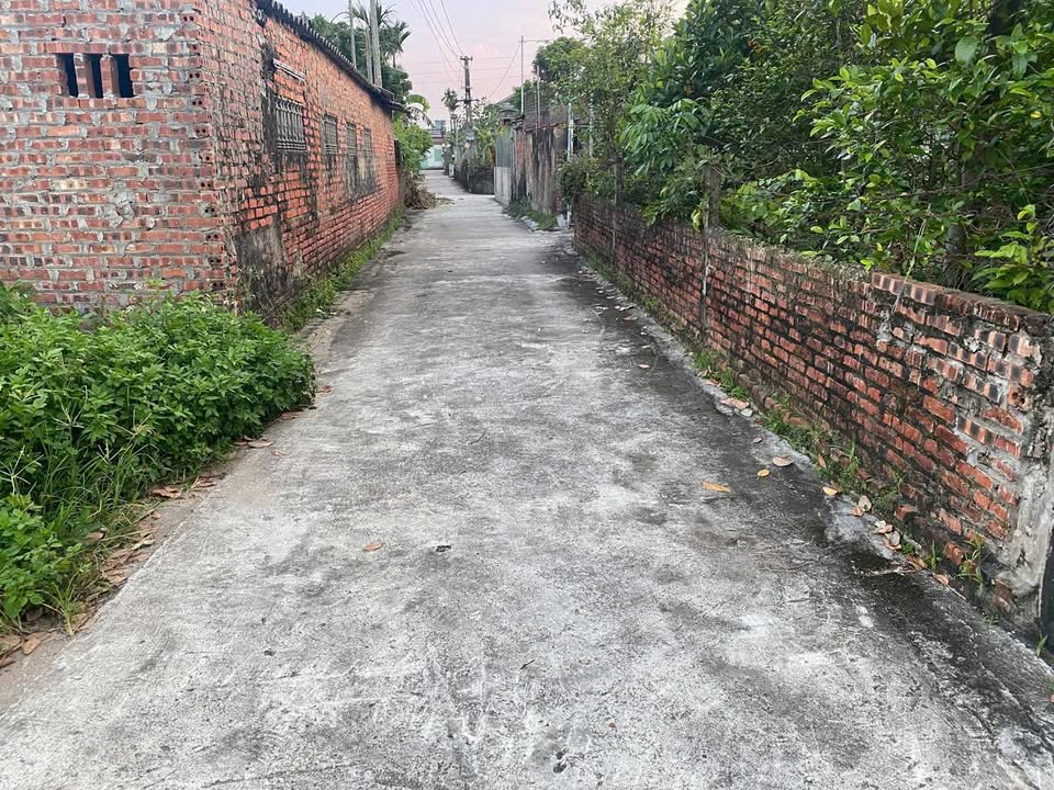 Bán đất thổ cư tại xã Đông Cường, Đông Hưng, Thái Bình