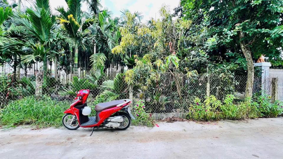 Đất nền vị trí đắc địa - Cơ hội đầu tư sinh lời