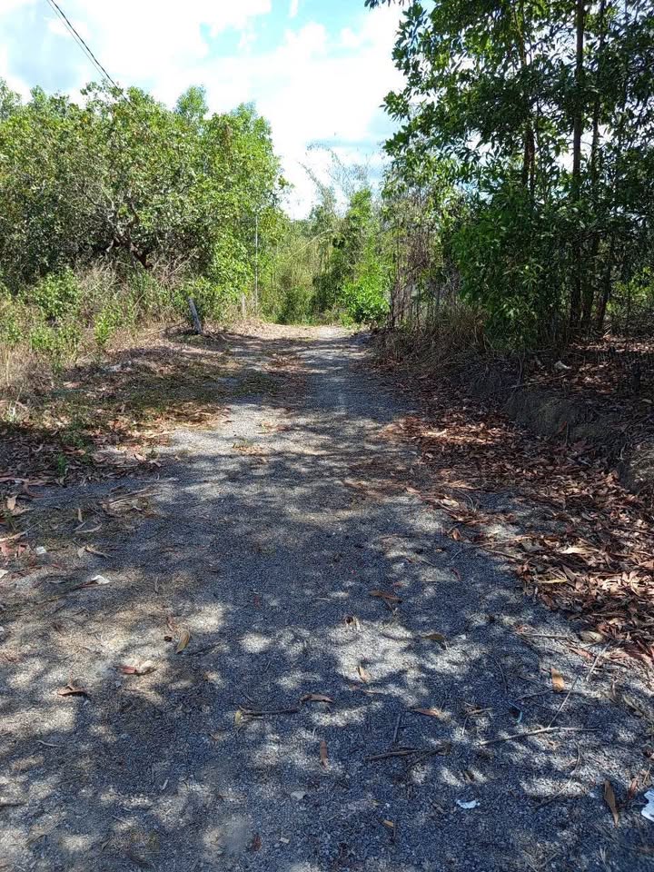 Đất Ngọc Định, Định Quán sổ hồng trao tay, cơ hội vàng cho tài chính thấp