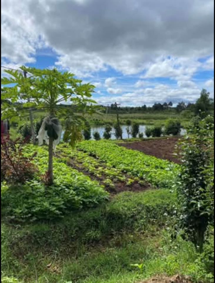 Bán nhanh lô đất gần 4000m2 tại Tổ 4, Phường Chi Lăng