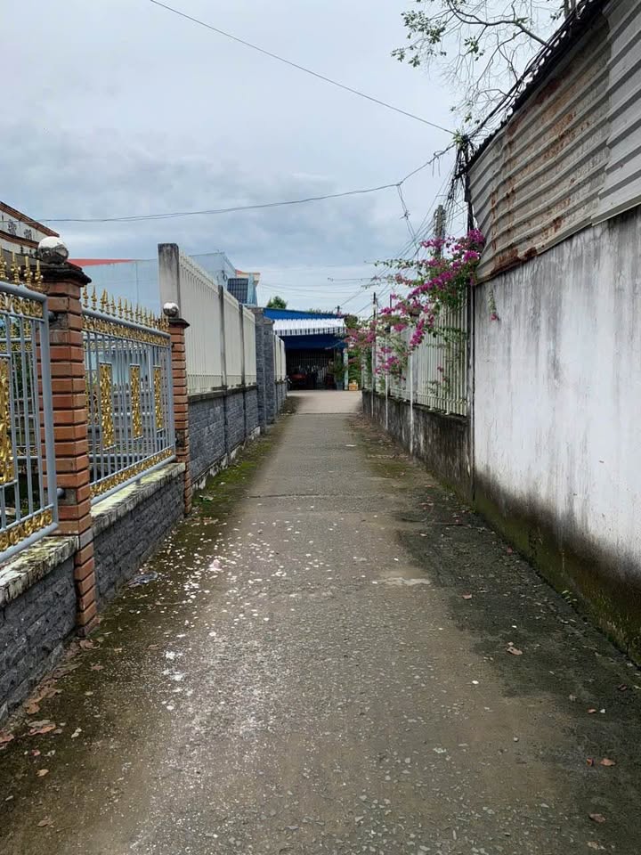 Nhà nhỏ xinh xắn tọa lạc tại ấp Chợ, thành phố Mỹ Tho, tỉnh Tiền Giang