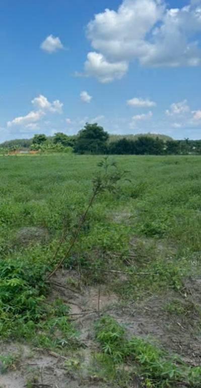 Đất Bàu Năng, Tây Ninh 1,5 ha giá sốc chỉ 2,3 tỷ, cơ hội có một không hai