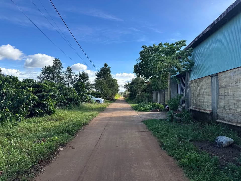 4 lô đất vàng hẻm 104 Trần Văn Ơn, sổ đỏ trao tay sau 75 ngày