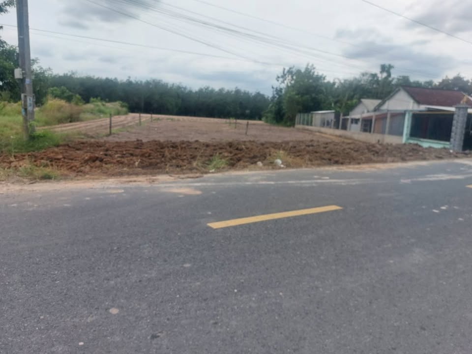 Bán đất Phước Hòa, Gò Dầu, Tây Ninh - mặt tiền lớn, gần khu công nghiệp, sổ đỏ thổ cư