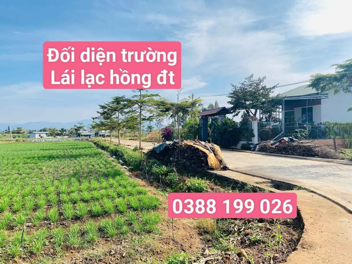 Bán đất Lạc Hồng, Đức Trọng 100m2 thổ cư, đường ô tô né nhau