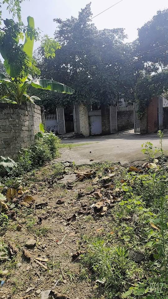 Miền đất Suối Vàng, Hòa Bình, nơi nghỉ dưỡng lý tưởng giữa non xanh nước biếc