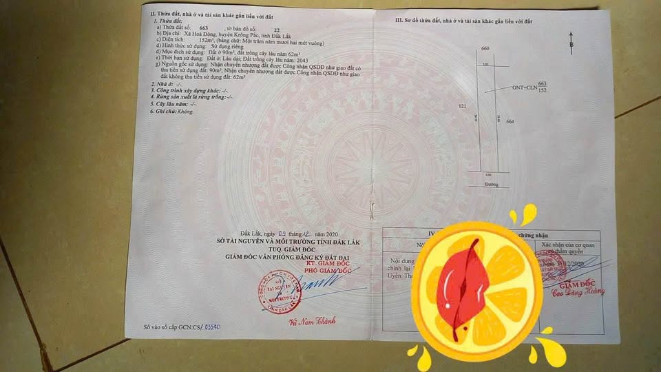 Đất Hòa Đông 150m² - sổ sẵn 90m² thổ cư, giá sốc chỉ 435 triệu