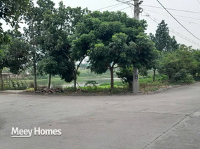 Siêu phẩm đất nền "áp ve" tại trung tâm Nam Bình, Kim Bảng, Hà Nam