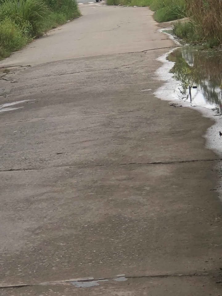 Cơ hội sở hữu ngay căn nhà mặt tiền đắc địa tại KP3, Thị Trấn, Giồng Trôm